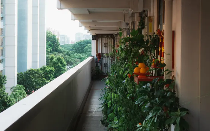 Choosing a Simple Setup for Balcony Vegetable Gardening